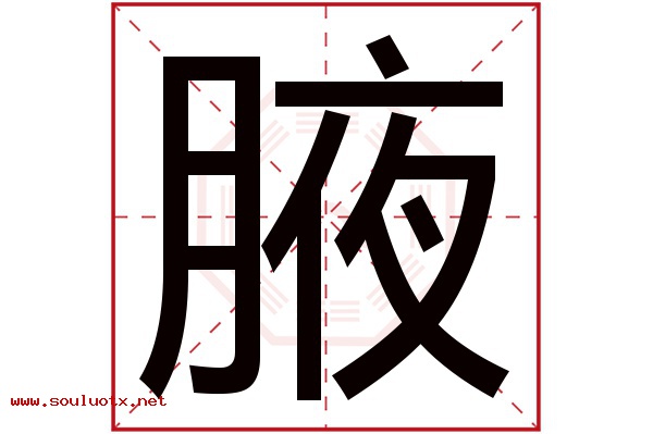 腋字五行属什么,腋字意思,腋字起名寓意