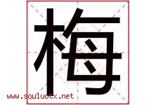 梅字意思,梅字取名的寓意,带梅字的名字-好运起名网