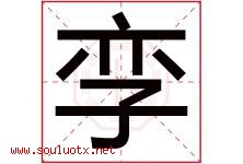 孪字取名意思是什么,孪字五行属性拼音结构部首是什么-好运起名网