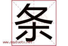 条字五行属什么，条字在名字里的含义寓意是什么-好运起名网
