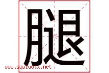 腿字五行属什么，腿字在名字里的含义寓意是什么-好运起名网