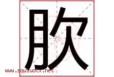 肷字取名意思是什么,肷字五行属性拼音结构部首是什么-好运起名网