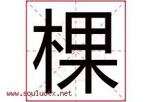 棵字意思,棵字取名的寓意,带棵字的名字-好运起名网