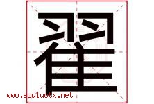 翟字取名意思是什么,翟字五行属性拼音结构部首是什么-好运起名网
