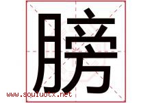 膀字五行属什么，膀字在名字里的含义寓意是什么-好运起名网