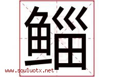 鲻字取名意思是什么,鲻字五行属性拼音结构部首是什么-好运起名网