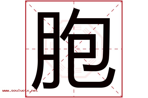 胞字五行属什么,胞字意思,胞字起名寓意