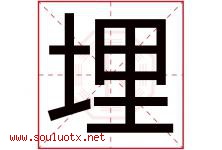 埋字五行属什么，埋字在名字里的含义寓意是什么-好运起名网