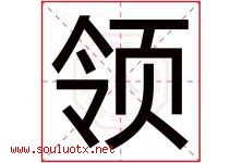 领字意思,领字取名的寓意,带领字的名字-好运起名网