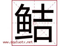 鲒字取名意思是什么,鲒字五行属性拼音结构部首是什么-好运起名网