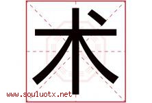 术字意思,术字取名的寓意,带术字的名字-好运起名网