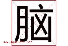 脑字五行属什么，脑字在名字里的含义寓意是什么-好运起名网