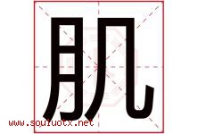肌字五行属什么，肌字在名字里的含义寓意是什么-好运起名网