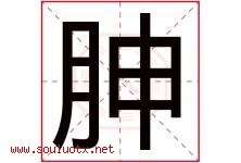 胂字取名意思是什么,胂字五行属性拼音结构部首是什么-好运起名网
