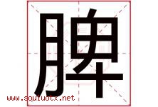 脾字五行属什么，脾字在名字里的含义寓意是什么-好运起名网