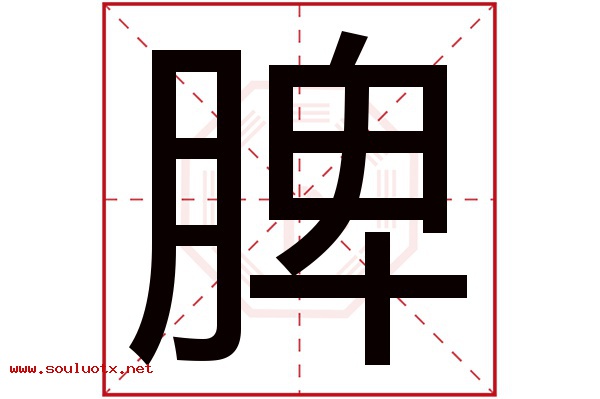 脾字五行属什么,脾字意思,脾字起名寓意