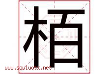 栢字取名意思,与栢字同音同部首同笔画同五行的字-好运起名网