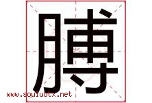 膊字五行属什么，膊字在名字里的含义寓意是什么-好运起名网