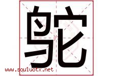 鸵字五行属什么，鸵字在名字里的含义寓意是什么-好运起名网