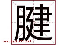 腱字取名意思是什么,腱字五行属性拼音结构部首是什么-好运起名网