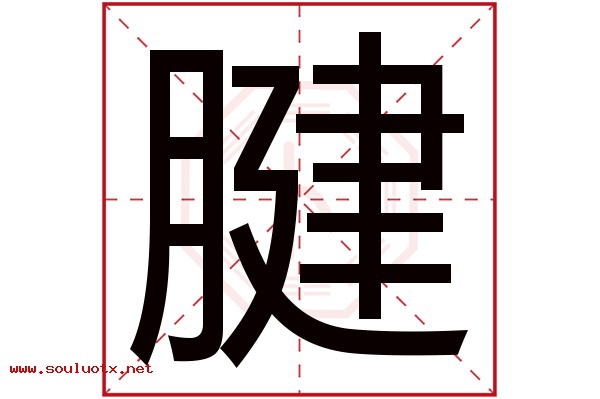 腱字五行属什么,腱字意思,腱字起名寓意
