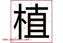 植字意思,植字取名的寓意,带植字的名字-好运起名网