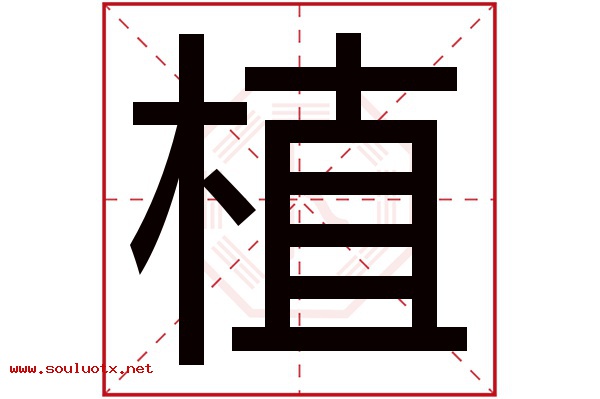 植字五行属什么,植字意思,植字起名寓意