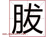 胈字取名意思,与胈字同音同部首同笔画同五行的字-好运起名网