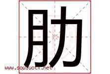 肋字五行属什么，肋字在名字里的含义寓意是什么-好运起名网