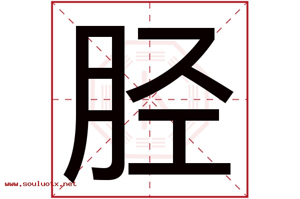 胫字五行属什么,胫字意思,胫字起名寓意