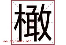 橄字五行属什么，橄字在名字里的含义寓意是什么-好运起名网