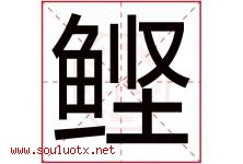 鲣字取名意思是什么,鲣字五行属性拼音结构部首是什么-好运起名网