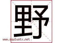 野字意思,野字取名的寓意,带野字的名字-好运起名网