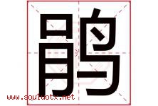 鹃字意思,鹃字取名的寓意,带鹃字的名字-好运起名网