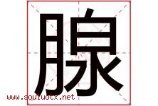腺字五行属什么，腺字在名字里的含义寓意是什么-好运起名网