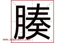 腠字取名意思是什么,腠字五行属性拼音结构部首是什么-好运起名网