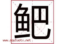 鲃字取名意思,与鲃字同音同部首同笔画同五行的字-好运起名网