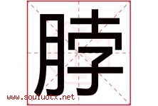 脖字五行属什么，脖字在名字里的含义寓意是什么-好运起名网