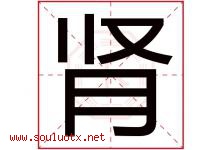 肾字五行属什么，肾字在名字里的含义寓意是什么-好运起名网
