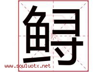鲟字取名意思是什么,鲟字五行属性拼音结构部首是什么-好运起名网