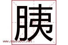 胰字五行属什么，胰字在名字里的含义寓意是什么-好运起名网