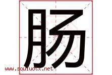 肠字五行属什么，肠字在名字里的含义寓意是什么-好运起名网