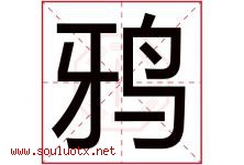 鸦字五行属什么，鸦字在名字里的含义寓意是什么-好运起名网