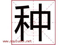 种字五行属什么，种字在名字里的含义，种起名寓意是什么-好运起名网