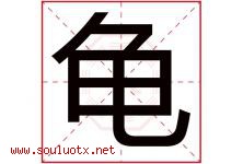 龟字五行属什么，龟字在名字里的含义寓意是什么-好运起名网