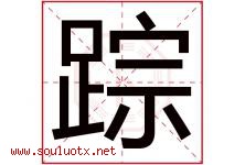 踪字五行属什么，踪字在名字里的含义寓意是什么-好运起名网