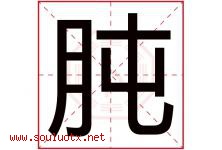 肫字取名意思是什么,肫字五行属性拼音结构部首是什么-好运起名网