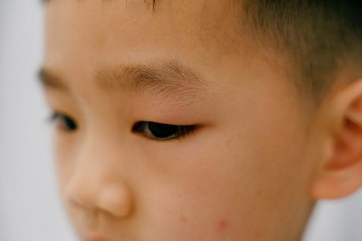 五行属火火男孩名字大全属小龙