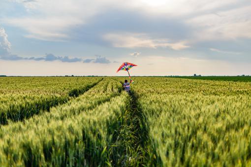 汪字名字大全姓顾