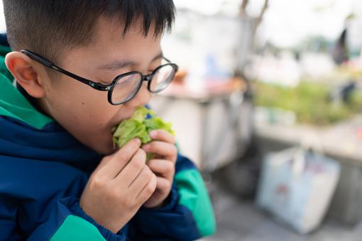 姓夏男孩新字名字大全